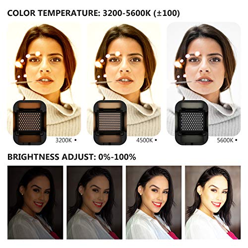 NEEWER 2 Pack Bi Color 660 LED Video Light and Stand Kit: (2) 3200-5600K CRI 96+ Dimmable Light with U Bracket and Barndoor, (2) 75 inches Light Stand for Studio Photography, Video Recording (Black)